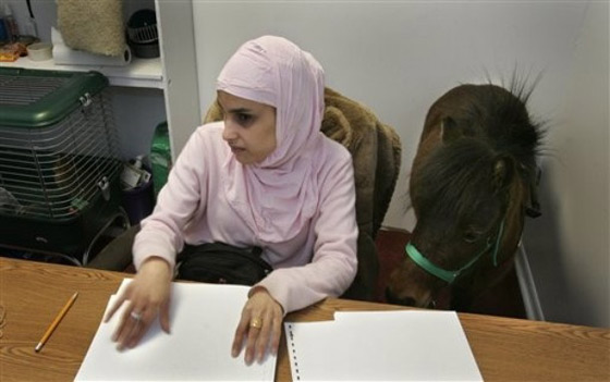 مكفوفة تستعين بفرس للتنقل مكفوفة تستعين بفرس للتنقل