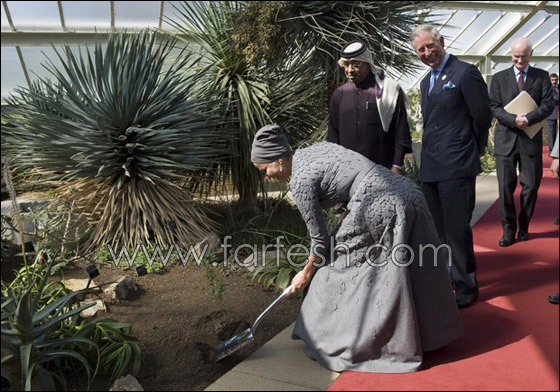 من هي ملكة الأناقة في 2010؟؟ من هي ملكة الأناقة في 2010؟؟