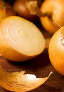  البصل ذو الرائحة النفاذة يحارب السرطان وهشاشة العظام 